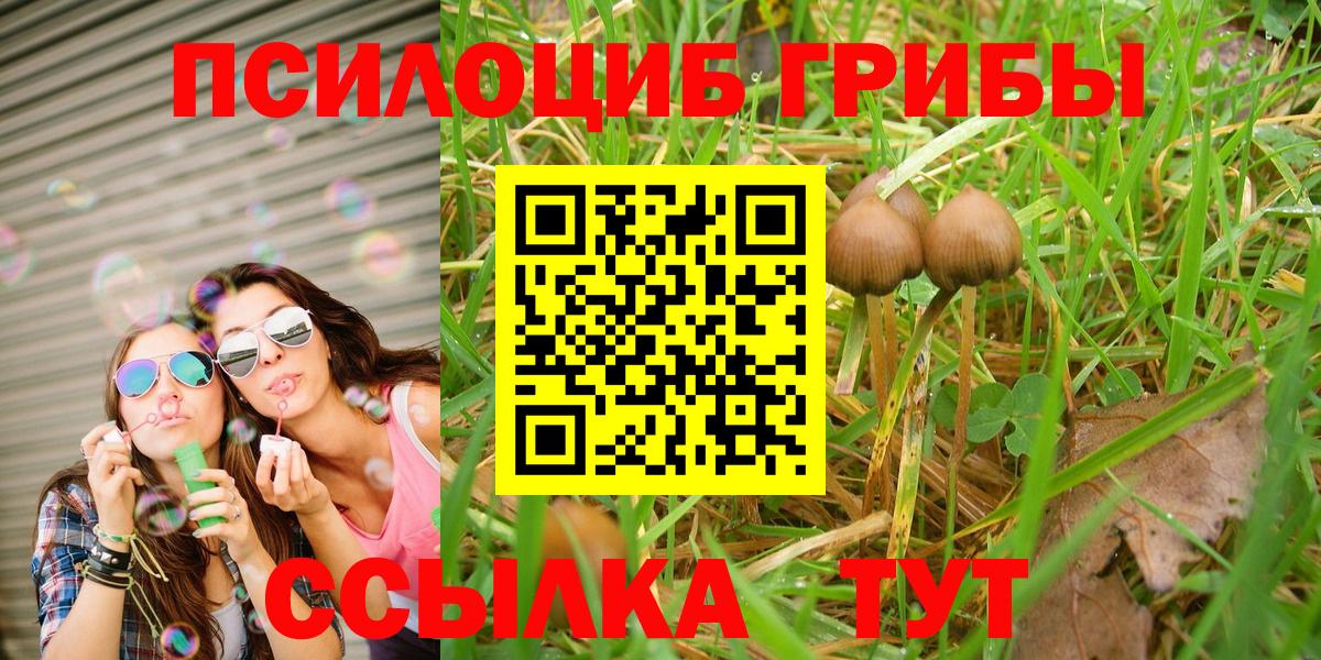 Галлюциногенные грибы Magic Shrooms  Галлюциногенные грибы Psilocybine cubensis  Кандалакша  Вход с VPN 