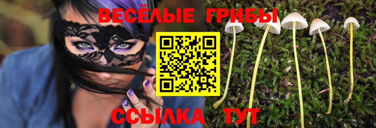 Псилоцибиновые грибы мицелий Кандалакша